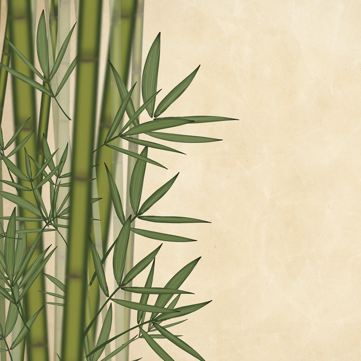 Las maravillas biodegradables del Bambú